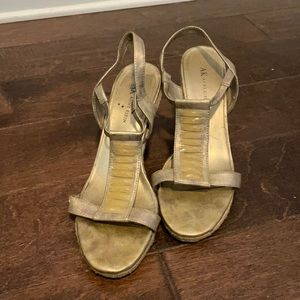 Anne Klein Akvietruous Wedge Sandals